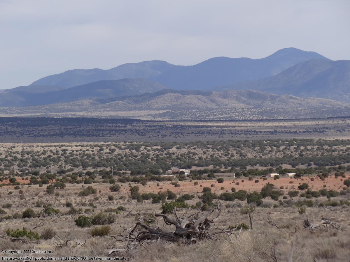 50 Acres land for sale in Carrizozo, NM by Ruidoso about 2.5 hours SE